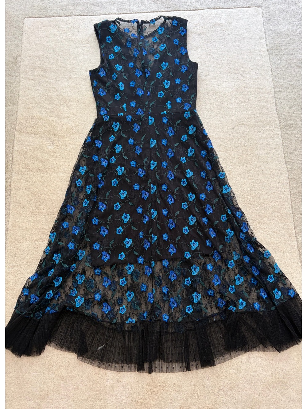 Dress the Population Black Sleeveless Long Dress with Blue Floral Embroidery, XS